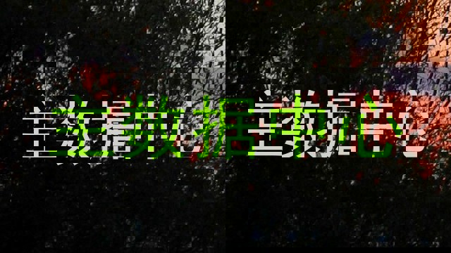 主数据中心