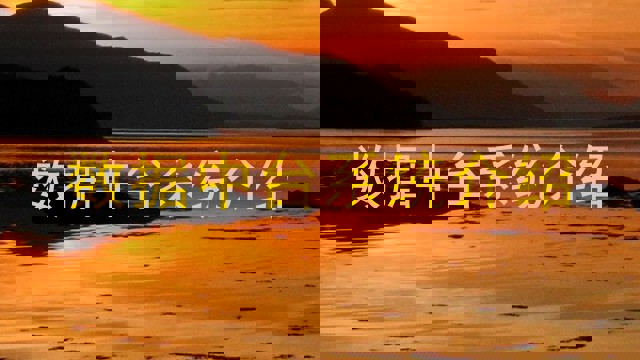 数据中台系统介绍