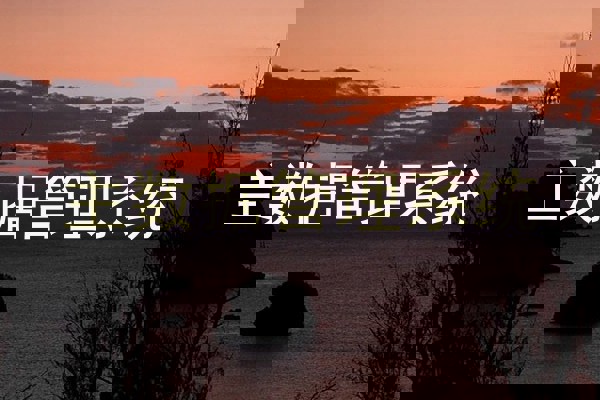 主数据管理系统