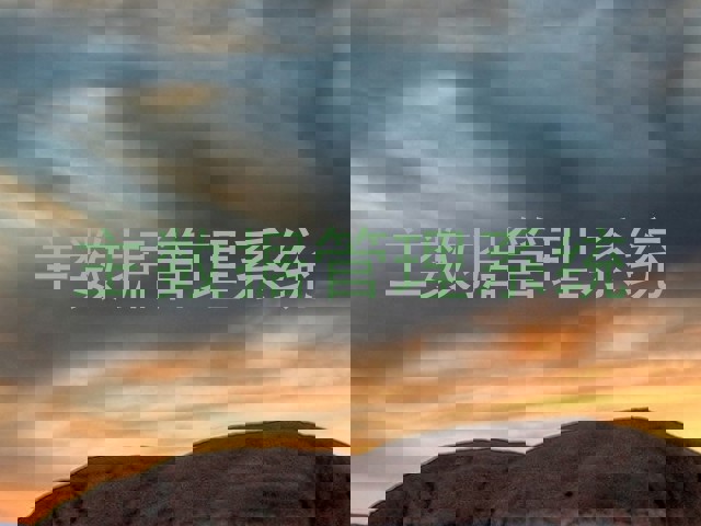 主数据管理系统