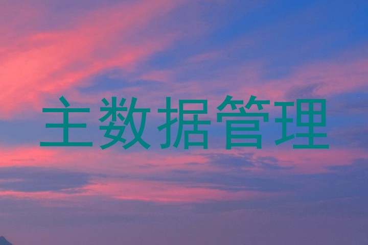 主数据管理