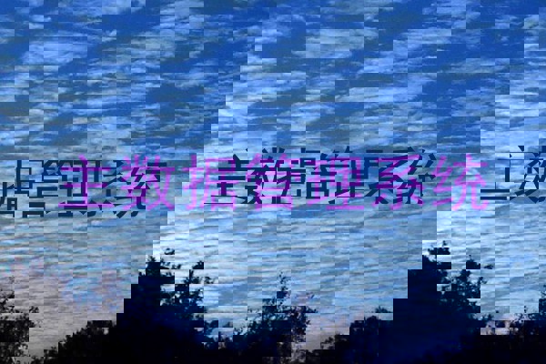 主数据管理系统