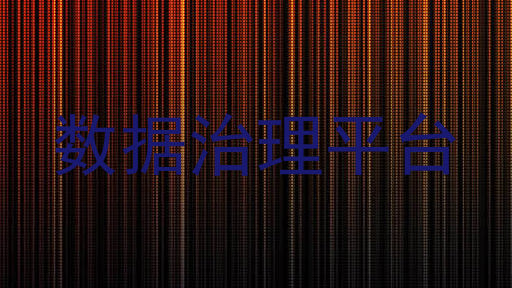 数据治理平台