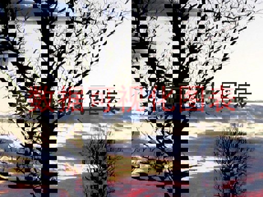 数据可视化图表