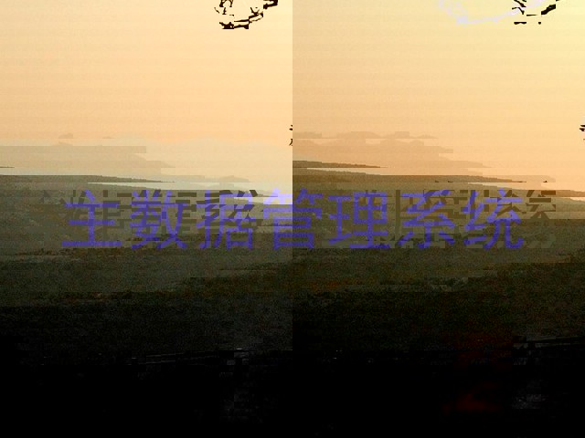 主数据管理系统