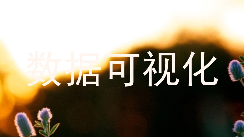 数据可视化