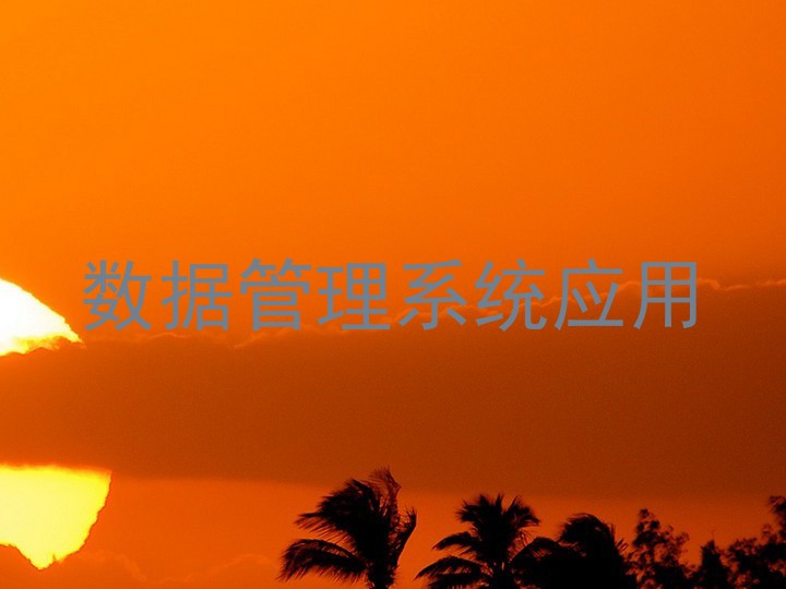 数据管理系统应用
