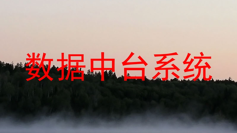 数据中台系统