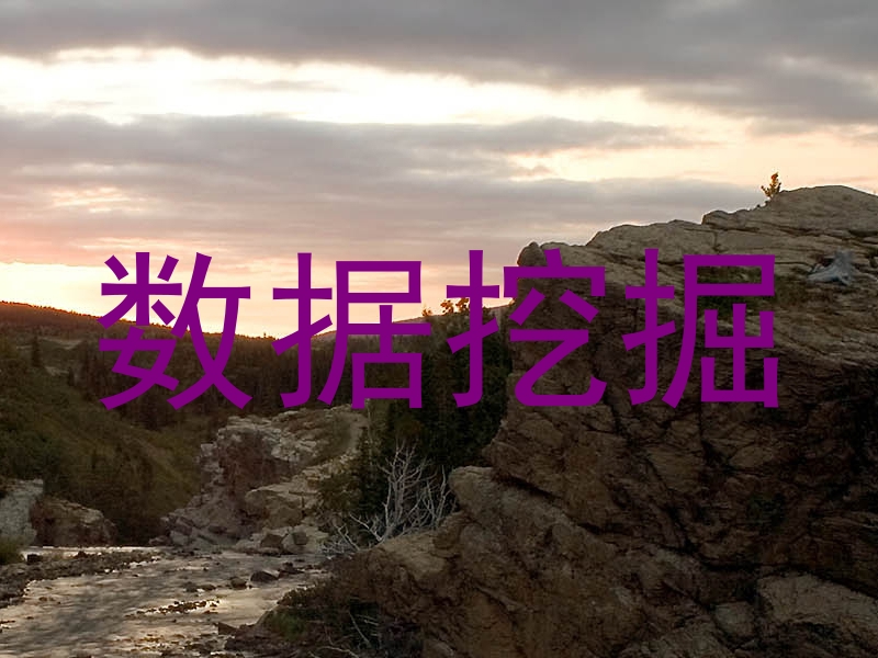 数据挖掘