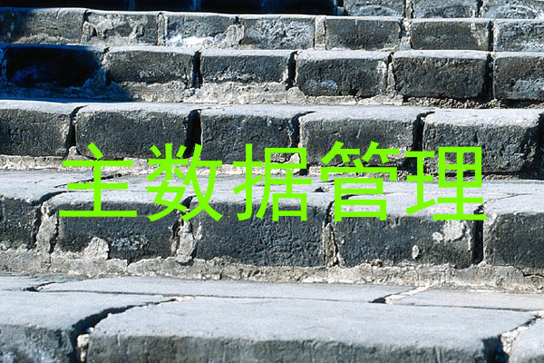 主数据管理