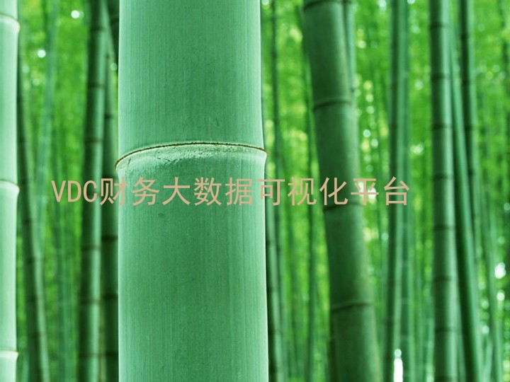VDC财务大数据可视化平台