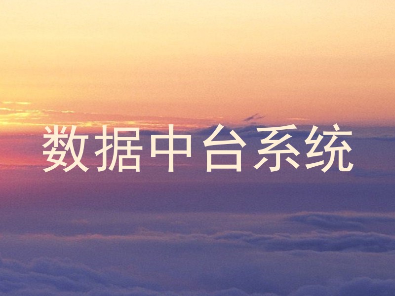 数据中台系统