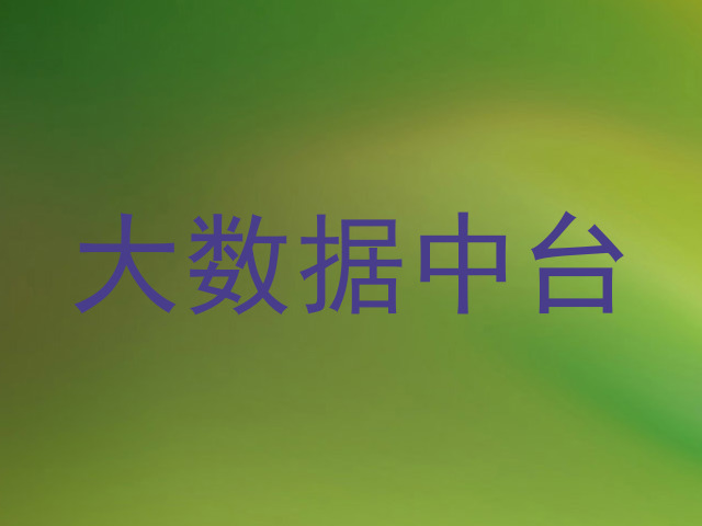 大数据中台