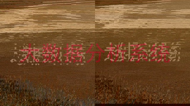 大数据分析系统