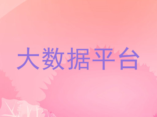 大数据平台