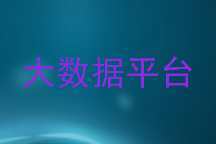 大数据平台
