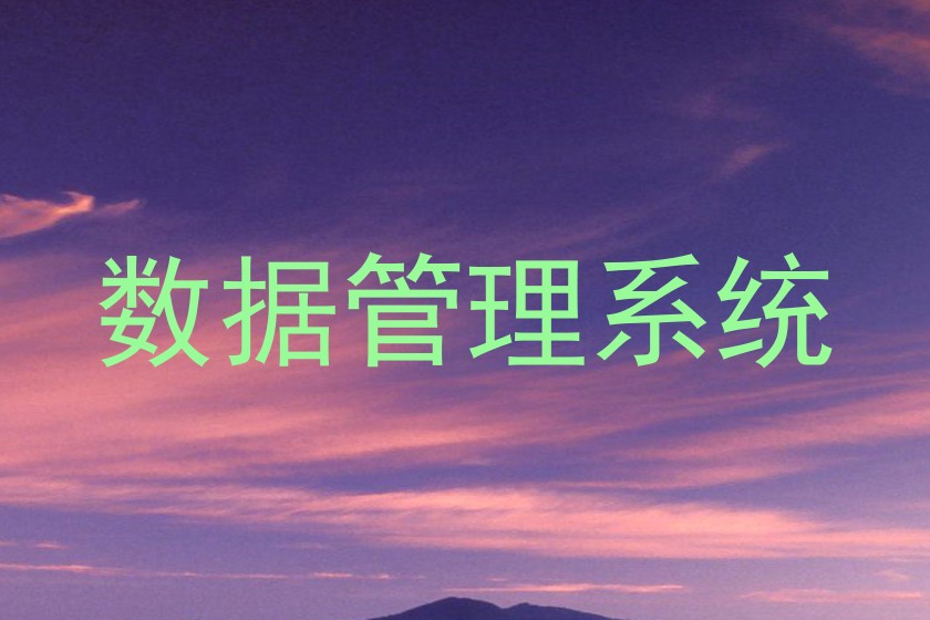 数据管理系统
