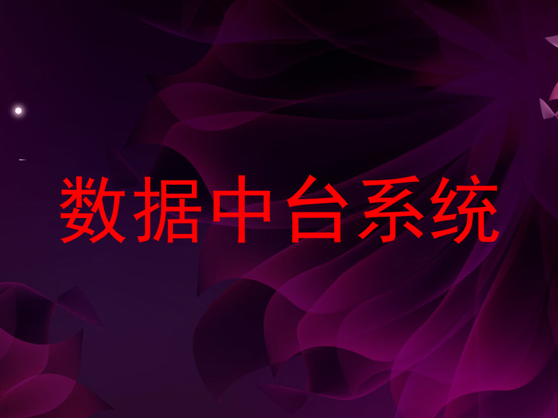 数据中台系统