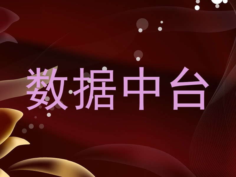 数据中台