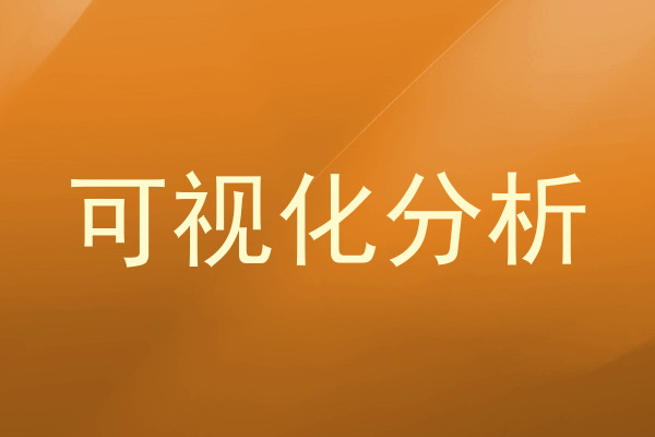可视化分析