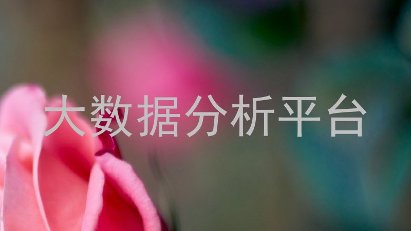 大数据分析平台