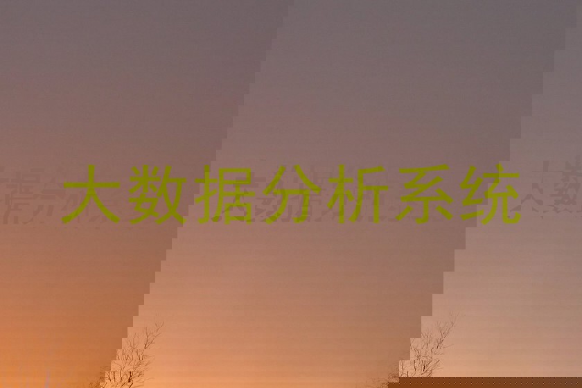 大数据分析系统