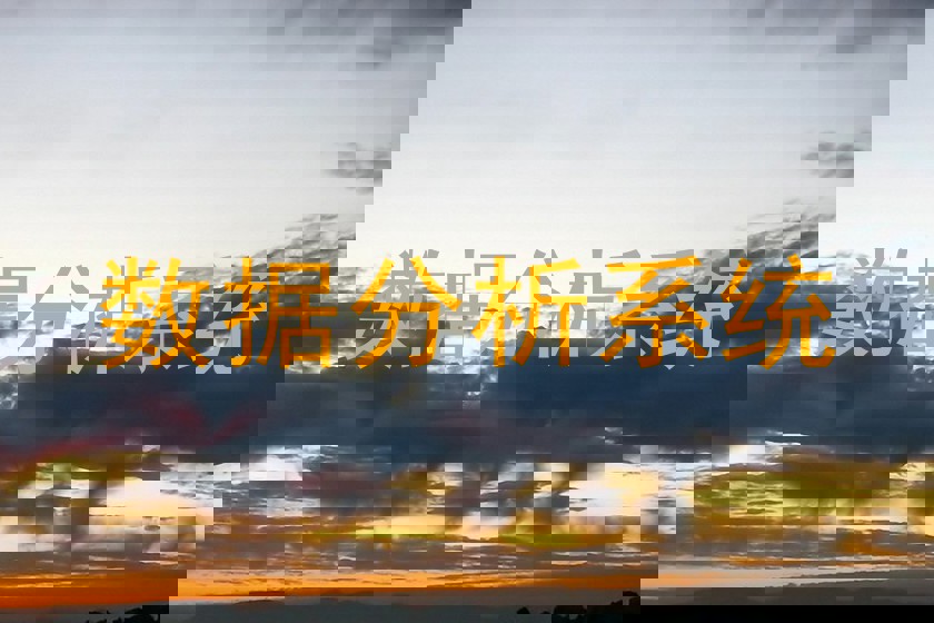 数据分析系统