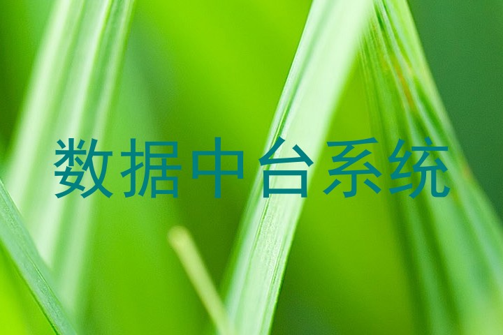 数据中台系统