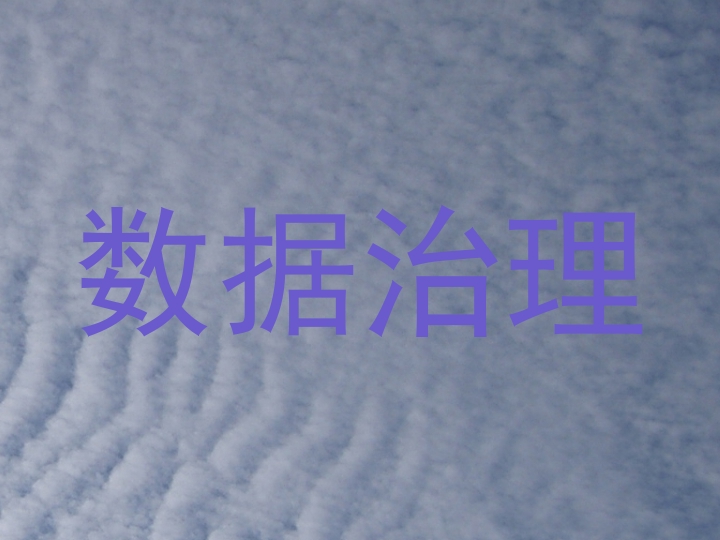 数据治理