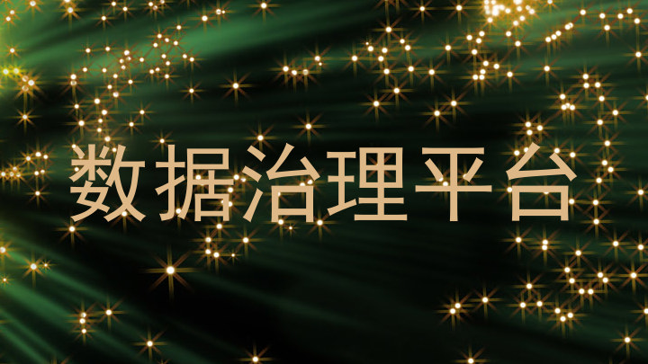 数据治理平台