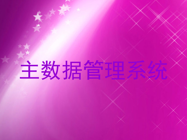 主数据管理系统