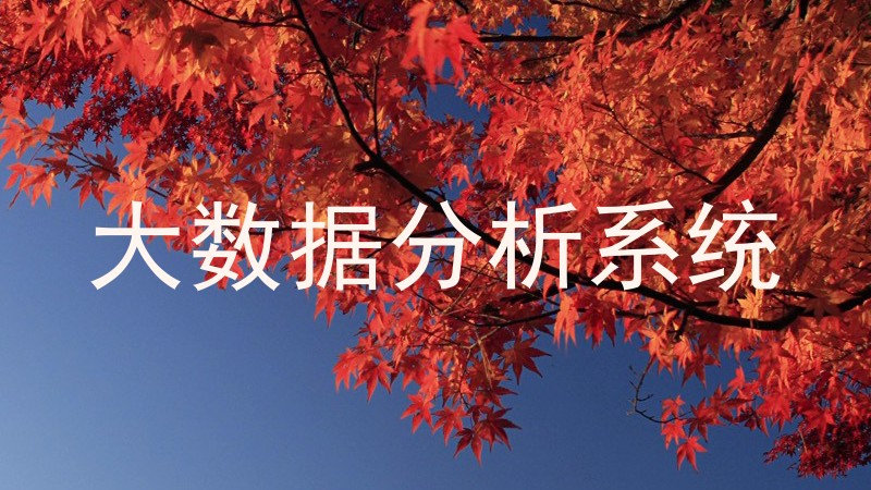 大数据分析系统
