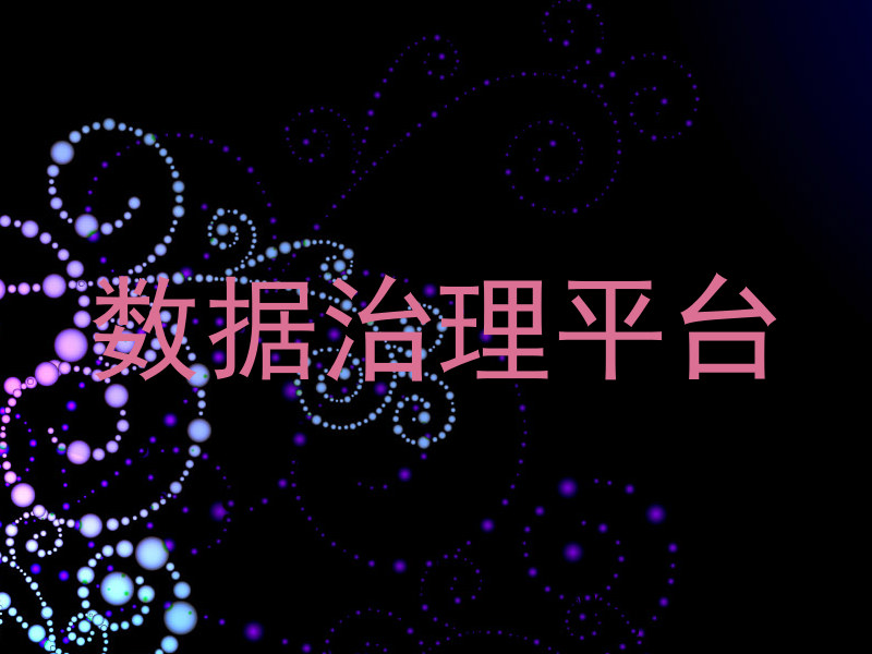 数据治理平台