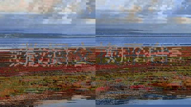 数据交换平台