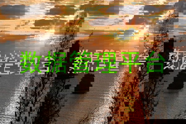 数据管理平台