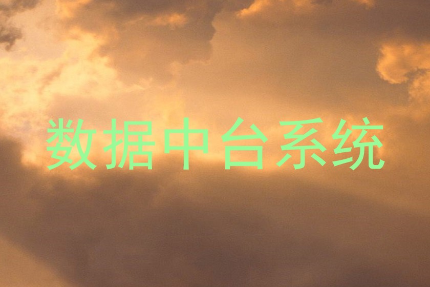 数据中台系统
