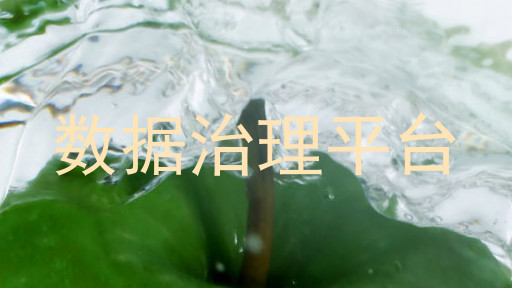 数据治理平台