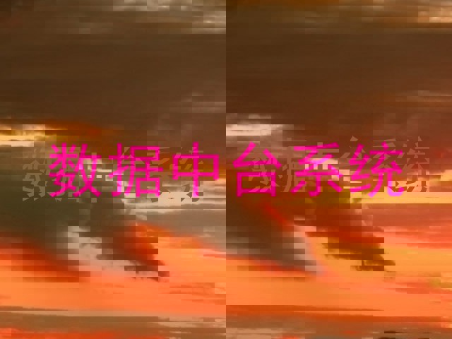 数据中台系统
