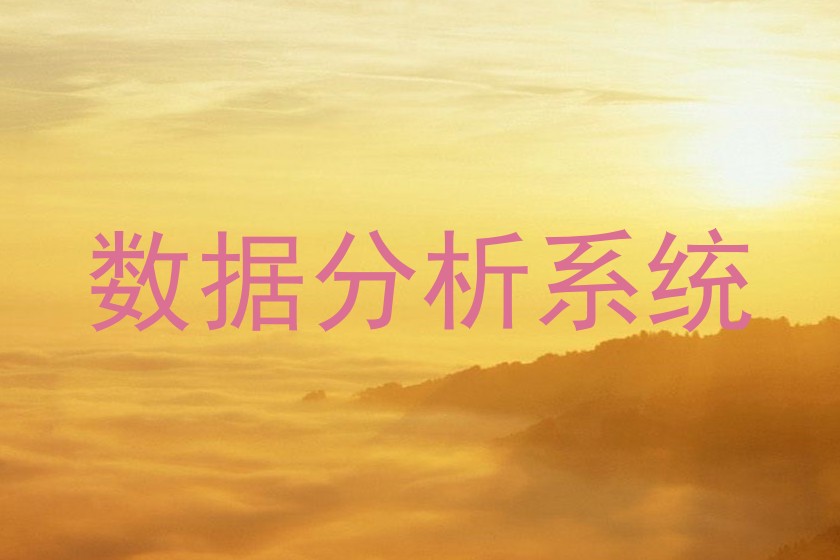 数据分析系统