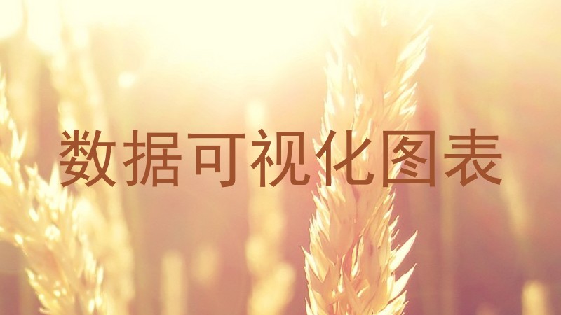 数据可视化图表