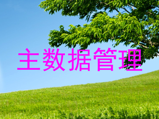 主数据管理