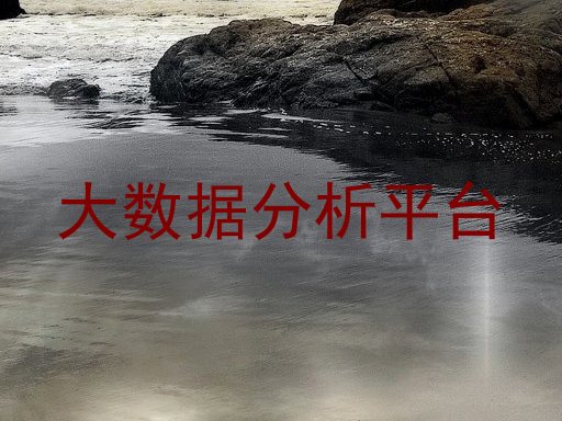 大数据分析平台