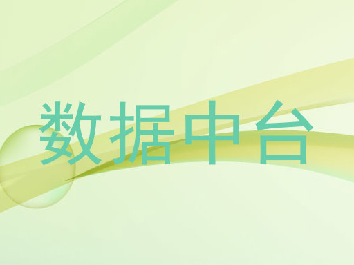 数据中台
