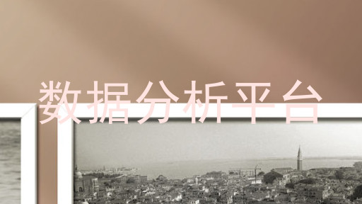 数据分析平台
