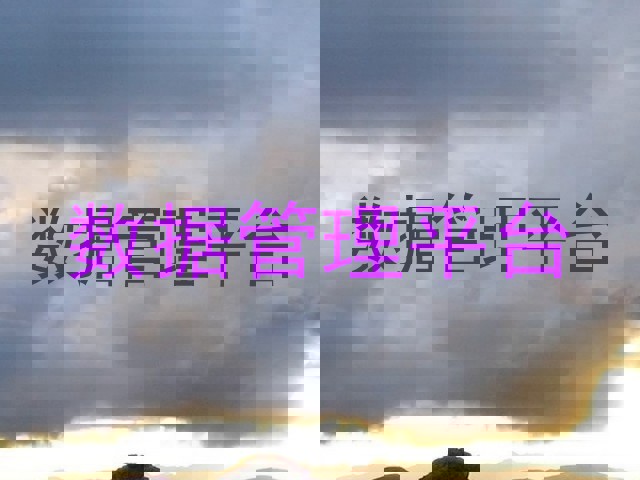 数据管理平台