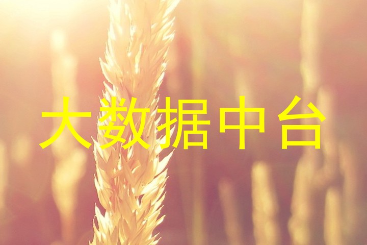 大数据中台