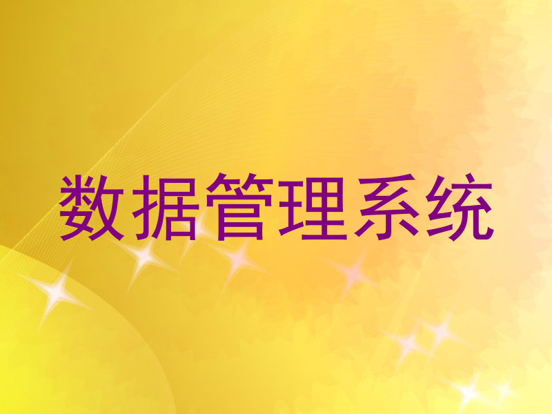 数据管理系统