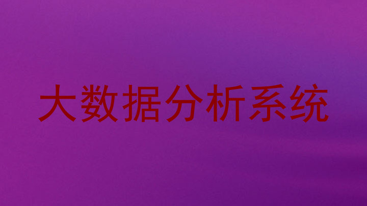大数据分析系统