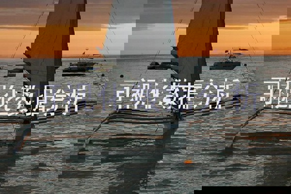 可视化数据分析