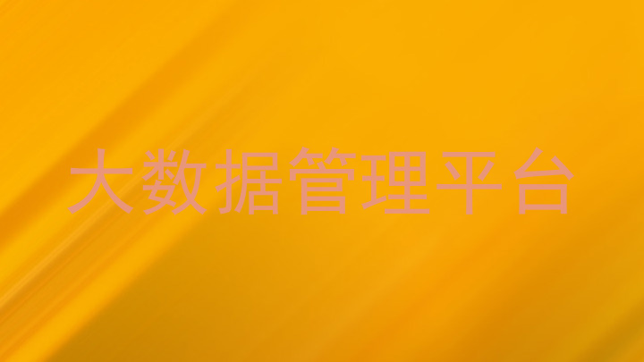 大数据管理平台